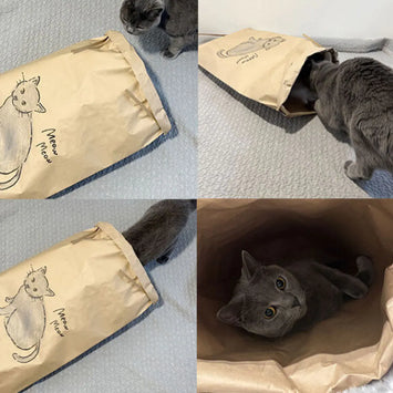ANDC Multi-purpose Paper Bag Cat Toy