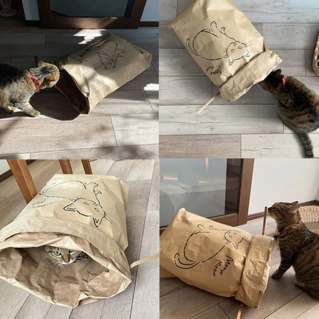 ANDC Multi-purpose Paper Bag Cat Toy